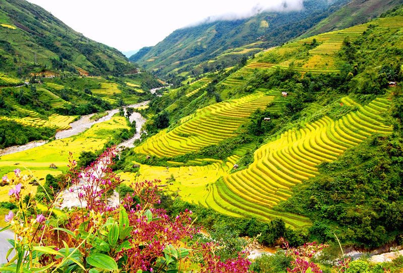 sapa-vietnam-tours