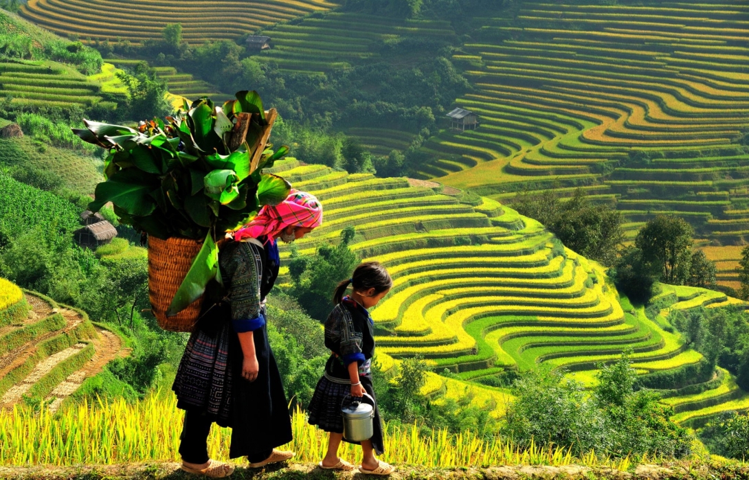 lao chai