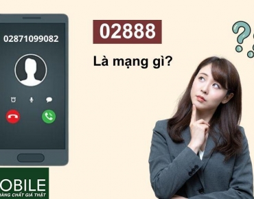 Giải đáp thắc mắc: Số điện thoại 02888 là mạng gì và có phải lừa đảo không?