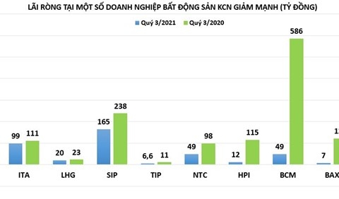 'Nốt trầm' từ kết quả kinh doanh của doanh nghiệp bất động sản khu công nghiệp