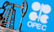 OPEC+ thận trọng trong kế hoạch bơm thêm dầu mỏ dù giá nhiên liệu hiện tăng lên mức cao trong nhiều năm