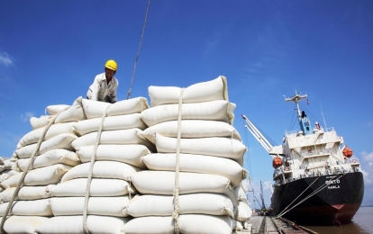 Ấn Độ cấm xuất khẩu gạo, Việt Nam cần làm gì?