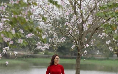 Thơ Nguyễn Văn Long: Rơi Tóc Góc Mưa