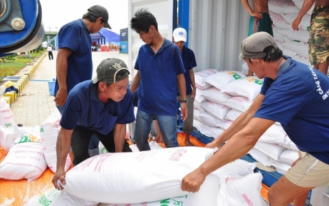 Cấp hơn 4.880 tấn gạo cho người dân gặp khó khăn do dịch COVID-19