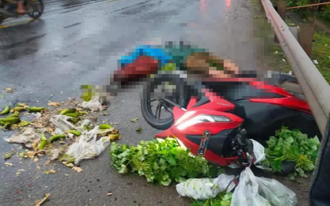 Đà Nẵng: 2 người bán rau, chuối tử vong thương tâm bên lề đường