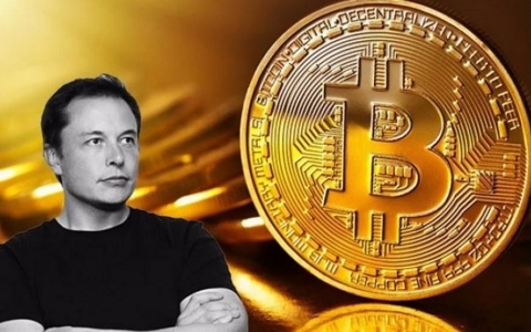 Elon Musk tiếc nuối vì không sớm đầu tư Bitcoin