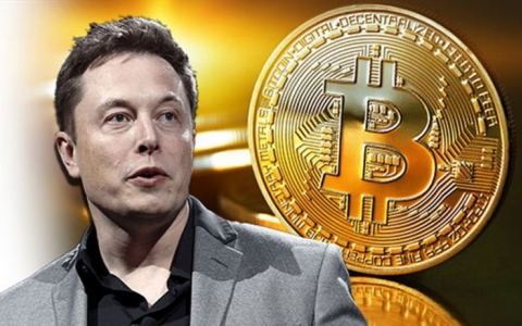 Một tháng đầu tư vào Bitcoin của Elon Musk lời hơn cả năm bán xe điện