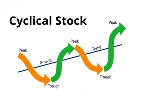 Cổ phiếu có tính chu kỳ (Cyclical stock) là gì? Đặc điểm và cách phân biệt
