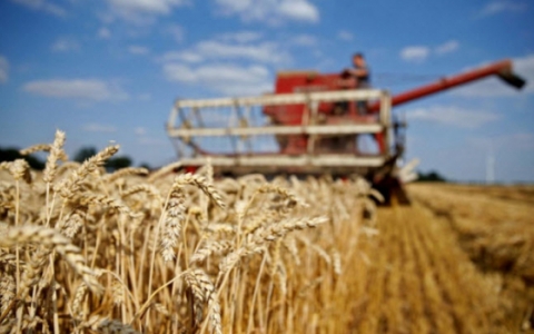 Xung đột Nga - Ukraine gây áp lực lên hệ thống lương thực toàn cầu