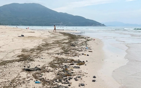 Bất thường dầu vón cục liên tiếp xuất hiện ở bãi biển nổi tiếng Khánh Hòa -