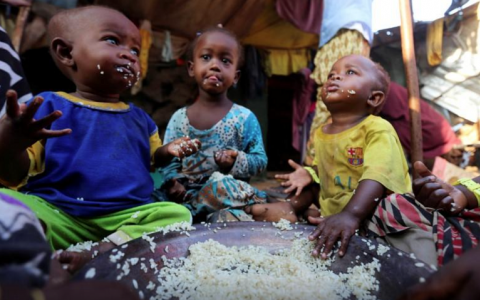 WTO cảnh báo nguy cơ bạo loạn lương thực ở các nước nghèo
