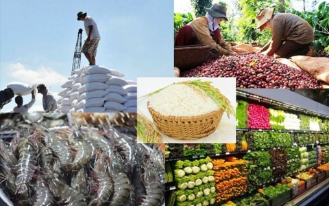 Mặt hàng nông sản Việt Nam ghi nhận những tín hiệu vui trong 4 tháng đầu năm