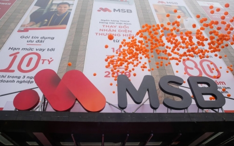 Ngân hàng MSB phát hành hàng trăm triệu cổ phiếu nhằm tăng vốn điều lệ