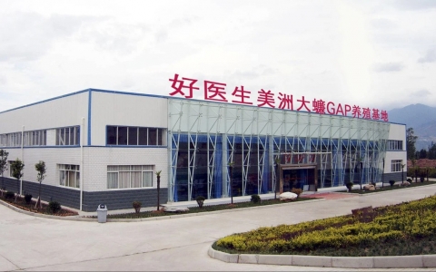 Thiếu điện, hoạt động sản xuất của nhà máy tại Trung Quốc giảm mạnh