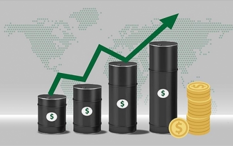 Biến động giá dầu và kịch bản ứng phó cho ổn định và phát triển