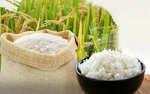 Cổ phiếu nào hưởng lợi khi giá gạo bật tăng?