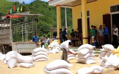 Chính phủ xuất cấp hơn 478 tấn gạo cho tỉnh Gia Lai