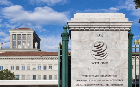 WTO cảnh báo nguy cơ suy thoái ở một số nền kinh tế lớn