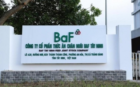 BAF nhận chuyển nhượng gần 100% vốn công ty nuôi heo