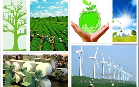 Khuyến khích các doanh nghiệp châu Âu đầu tư vào lĩnh vực tăng trưởng xanh của Việt Nam