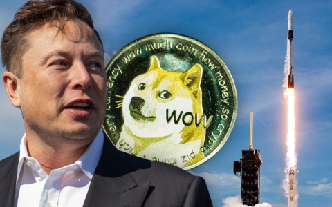 Cha đẻ Dogecoin gọi Elon Musk là 'kẻ chỉ biết quan tâm đến bản thân'