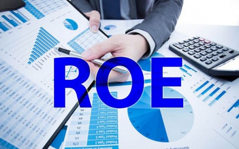 Lợi nhuận vốn (ROE) là gì? Cách tính lợi nhuận vốn nhanh nhất