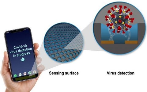 Công nghệ phát hiện virus Covid-19 bằng điện thoại di động?