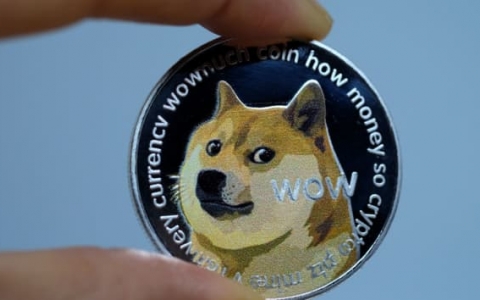 Nhà đầu tư lãi bao nhiêu nếu chi 1.000 USD mua Dogecoin từ đầu năm 2021?