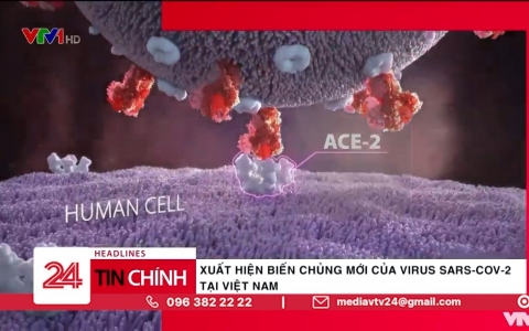 Xuất hiện biến chủng mới của virus SARS-CoV-2 tại Việt Nam