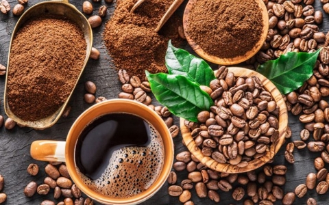 Giá cà phê hôm nay (mới nhất 15/6): Giá cà phê đồng loạt giảm 300 đồng/kg