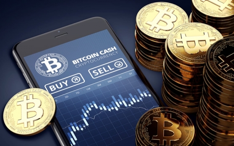 Giá Bitcoin hôm nay (mới nhất 27/6): Bitcoin tăng nhẹ sau ‘bão’ giảm