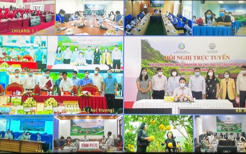 Đẩy mạnh tiêu thụ nông sản Lạng Sơn trên Sàn TMĐT thông qua “Gian hàng Việt trực tuyến'