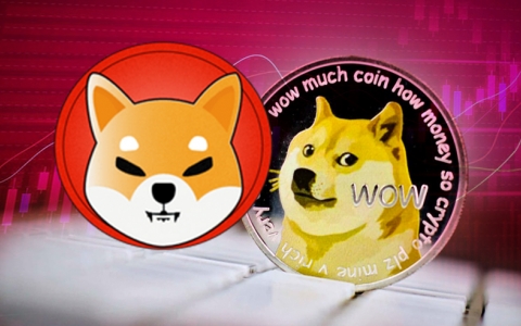Lượng nhà đầu tư Dogecoin và Shiba Inu bất ngờ tăng mạnh
