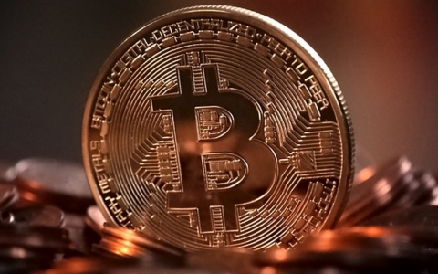 Giá Bitcoin hôm nay (ngày 15/8): Giữ mốc hỗ trợ 47.000 USD