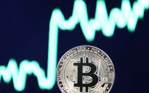 'Cá mập’ âm thầm gom mua Bitcoin khi giá lên 50.000 USD