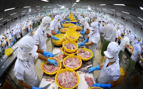 Hiệp định EVFTA: Cơ hội cho ngành thủy sản Việt Nam đẩy mạnh xuất khẩu