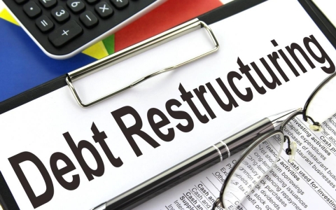 Tái cơ cấu nợ là gì? Đặc điểm và loại hình tái cơ cấu nợ