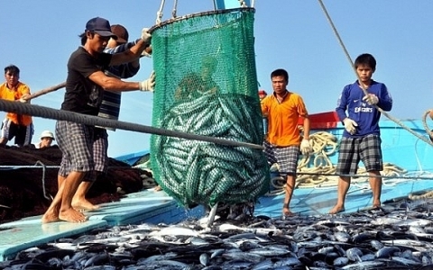 Nhiều cơ hội cho Việt Nam xuất khẩu thủy sản sang thị trường Australia