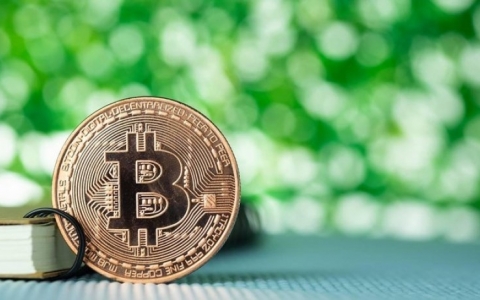 Bitcoin 'bốc đầu' tăng lên mức cao nhất gần hai tuần
