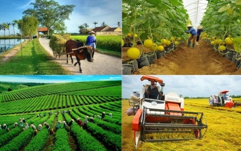 Nông nghiệp phát huy vai trò bệ đỡ của nền kinh tế trong đại dịch