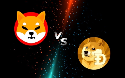 Lý do gì khiến hai 'trò đùa' Dogecoin và Shiba Inu đều lọt top 10 tiền ảo lớn nhất thế giới?