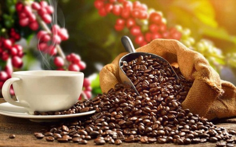 Giá cà phê đạt mức cao nhất 10 năm, nguồn cung có thể thiếu đến năm 2023