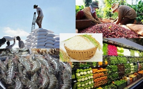 Nông sản Việt Nam một năm hái quả ngọt từ Hiệp định EVFTA