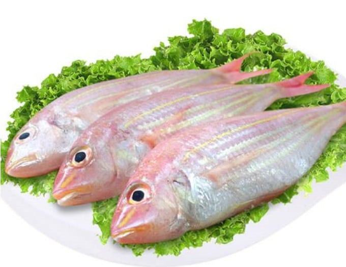 Top 6 loại cá quen thuộc không nên ăn nhiều - Cá đổng