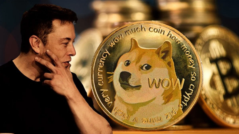 Giá Dogecoin tăng vọt sau câu nói của tỷ phú Elon Musk (Ảnh: VOI)