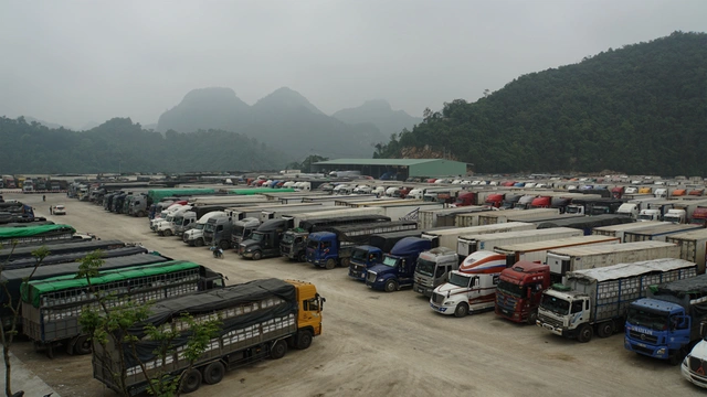 Hàng nghìn xe nông sản ùn ứ ở cửa khẩu tỉnh Lạng Sơn (Ảnh: Dân Trí)