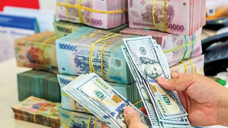 Việt Nam bị “liệt” vào danh sách giám sát tiền tệ của Mỹ
