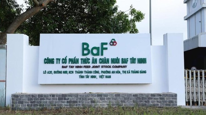 BAF nhận chuyển nhượng gần 100% vốn công ty nuôi heo 