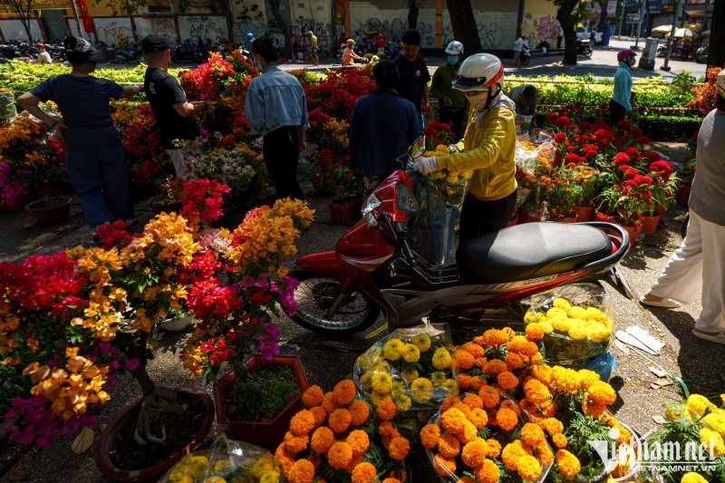 Đa số khách chọn những chậu hoa có giá từ 150.000-300.000 đồng/cặp. So với năm ngoái, sức mua năm nay tăng khoảng 25%. Nhờ đó, những người trồng, buôn bán hoa có thêm niềm vui đón Tết vì tiêu thụ được hàng sớm.