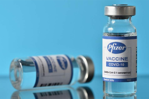 vaccine pfizer, tử vong